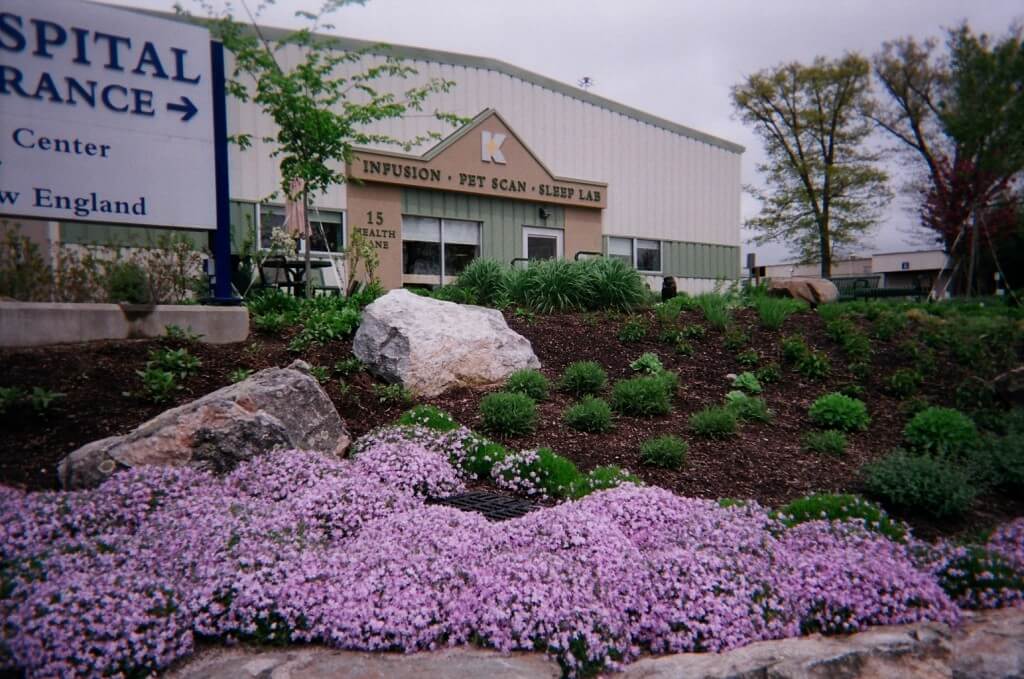 Embankment with purple phlox at Kent's PETScan and Infusion Center Serenity Garden in early Spring.