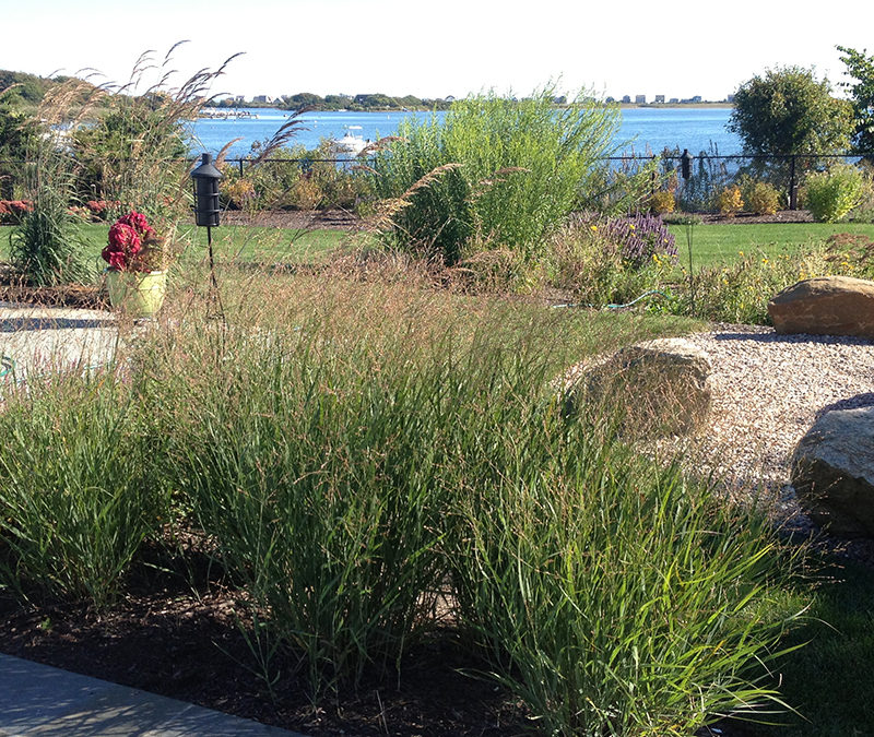 Ornamental Grasses And Fire Pit In Front Of Water In Charleston, Rhode Island