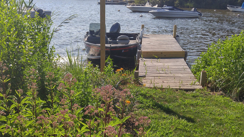 Dock with boat and native plantings