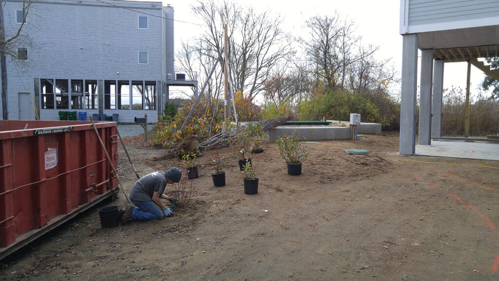 staff planting new plantings at South Kingston, Rhode Island