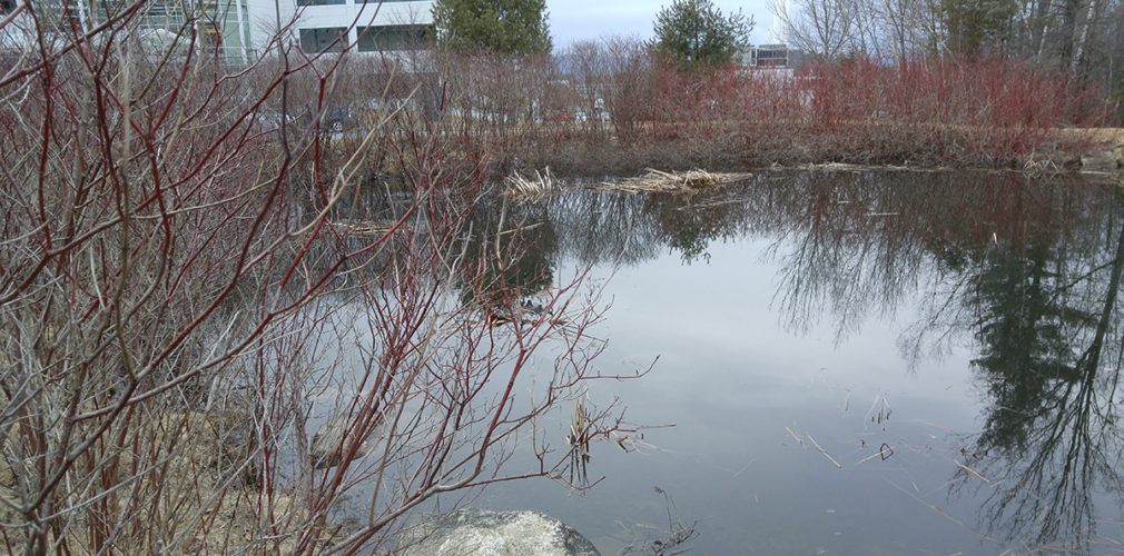 Dartmouth-Hitchcock Medical Center | Stormwater Collection