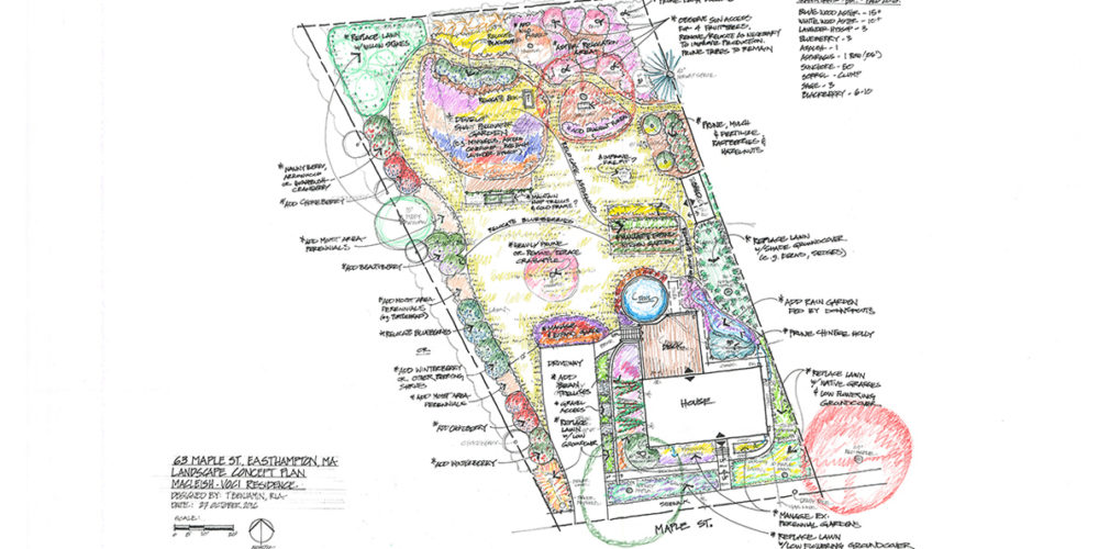 Master Design Of Pollinator Orchard In Easthampton
