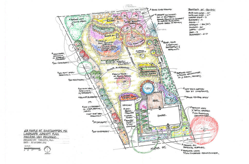 Master Design of Pollinator Orchard in Easthampton