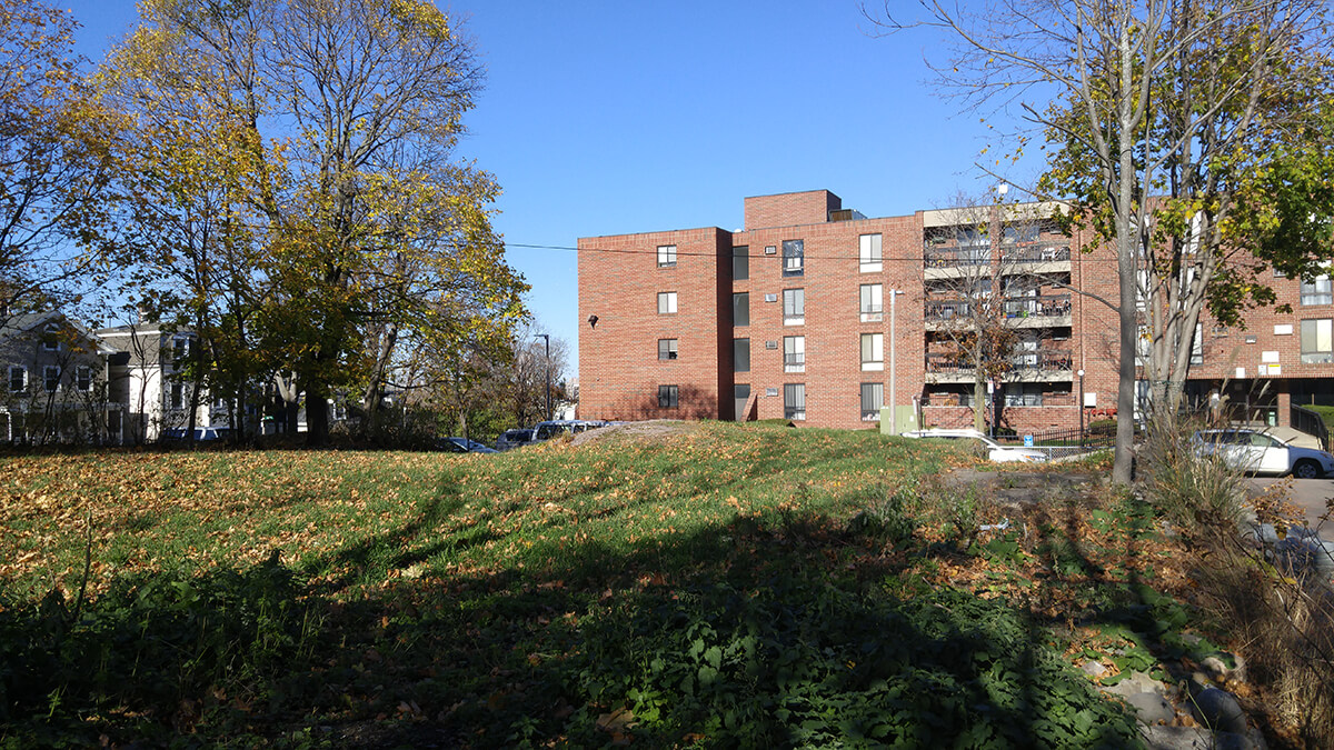 large lawn in front of apartment building