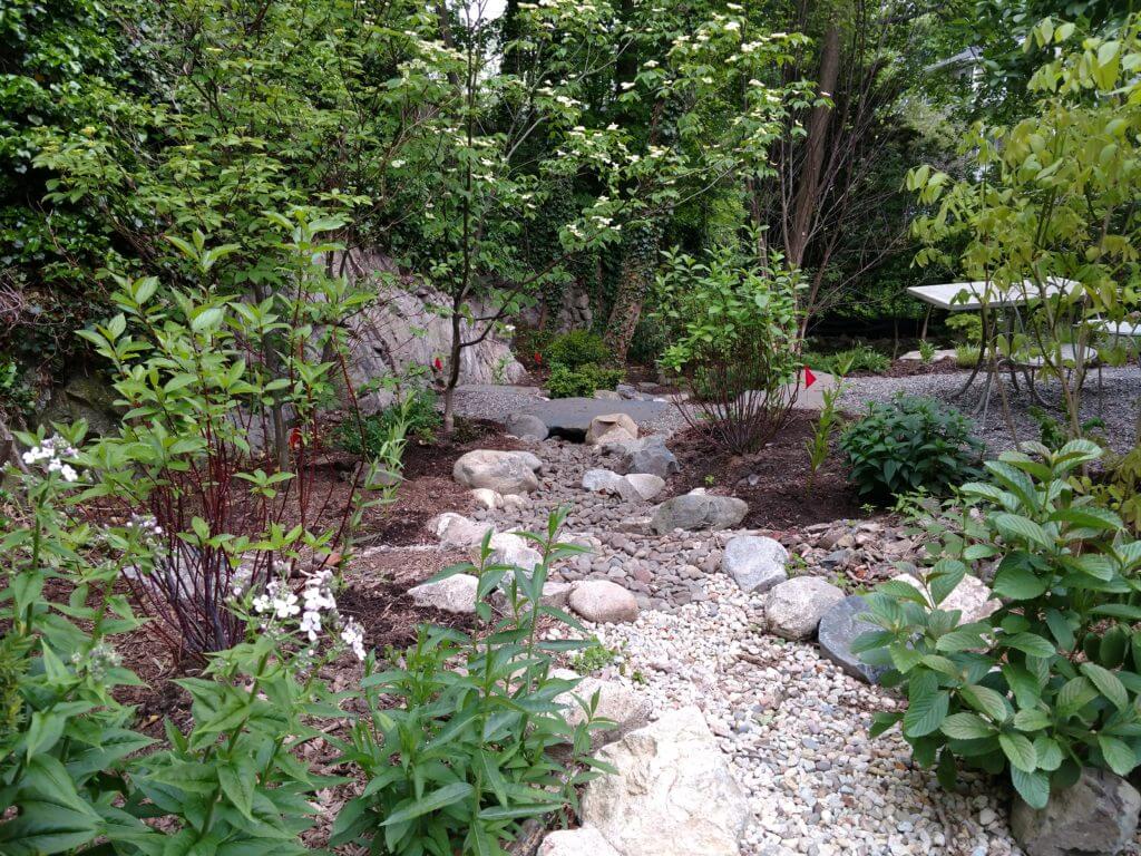 Resilient Landscape design with a Gravel path with plantings in Arlington, MA