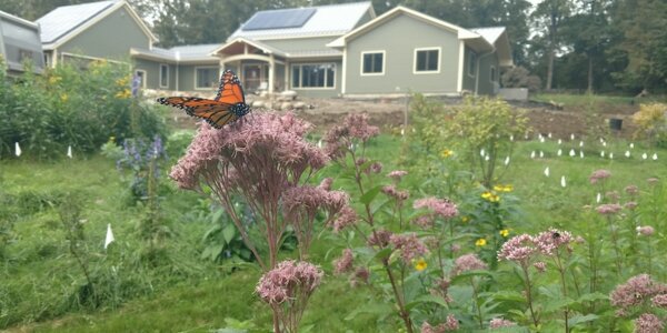 wildscaping to new levels