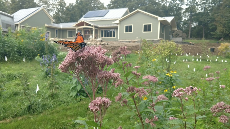 wildscaping to new levels